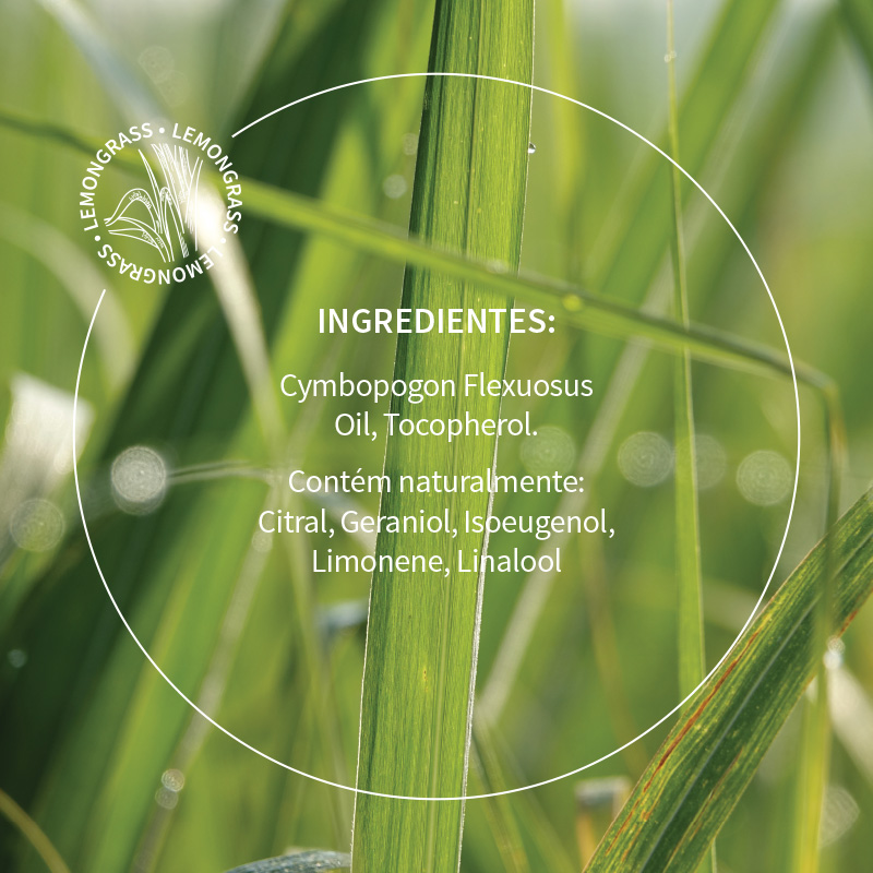 Oléo essencial de lemongrass - 10ml - Imagem 5